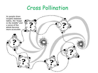 Cross Pollination 