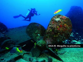 DICA #5 Mergulhe na plataforma

 