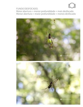 FUNDO DESFOCADO.
Maior abertura = menor profundidade = mais desfocado
Menor abertura = maior profundidade = menos desfocado
 