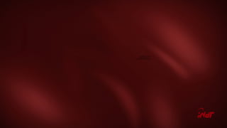 QuickTime™ and a
H.264 decompressor
are needed to see this picture.
 