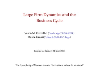 Large Firm Dynamics and the
Business Cycle
Vasco M. Carvalho (Cambridge/CREi & CEPR)
Basile Grassi(Oxford & Nufﬁeld College)
Banque de France, 24 June 2016
The Granularity of Macroeconomic Fluctuations: where do we stand?
 