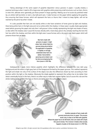 Graphite for Scientific Illustrations | PDF