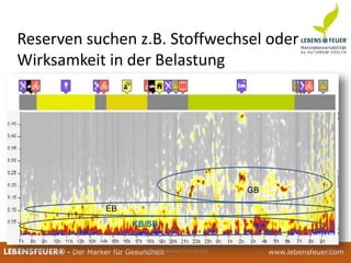 25.02.2015 11825.02.2015 118LEBENSFEUER® - Der Marker für Gesundheit www.lebensfeuer.com25.02.2015 118LEBENSFEUER® - Der Marker für Gesundheit www.lebensfeuer.com
Reserven suchen z.B. Stoffwechsel oder
Wirksamkeit in der Belastung
KB/SB
GB
EB
11/08/13 Seppi Neuhauser Trail-of-Life 20
 