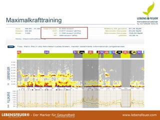 25.02.2015 7125.02.2015 71LEBENSFEUER® - Der Marker für Gesundheit www.lebensfeuer.com25.02.2015 71LEBENSFEUER® - Der Marker für Gesundheit www.lebensfeuer.com20.10.2012 www.trail-of-life.at
Maximalkrafttraining
 