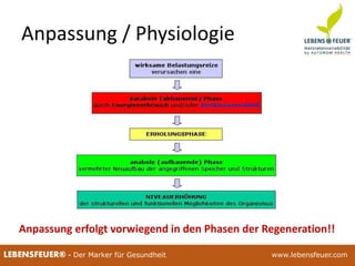 25.02.2015 825.02.2015 8LEBENSFEUER® - Der Marker für Gesundheit www.lebensfeuer.com25.02.2015 8LEBENSFEUER® - Der Marker für Gesundheit www.lebensfeuer.com
Anpassung / Physiologie
Anpassung erfolgt vorwiegend in den Phasen der Regeneration!!
 