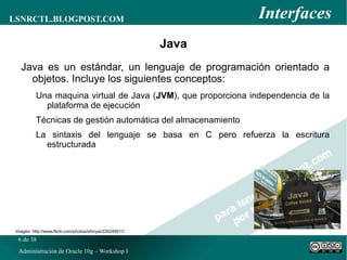 Oracle Forms, Reports y Discoverer 