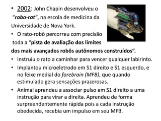 • 2002: John Chapin desenvolveu o
 “robo-rat”, na escola de medicina da
Universidade de Nova York.
• O rato-robô percorreu com precisão
 toda a “pista de avaliação dos limites
dos mais avançados robôs autônomos construídos”.
• Instruiu o rato a caminhar para vencer qualquer labirinto.
• Implantou microeletrodo em S1 direito e S1 esquerdo, e
   no feixe medial do forebrain (MFB), que quando
   estimulado gera sensações prazerosas.
• Animal aprendeu a associar pulso em S1 direito a uma
   instrução para virar a direita. Aprendeu de forma
   surpreendentemente rápida pois a cada instrução
   obedecida, recebia um impulso em seu MFB.
 