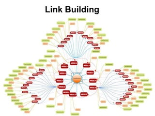 Link Building
 