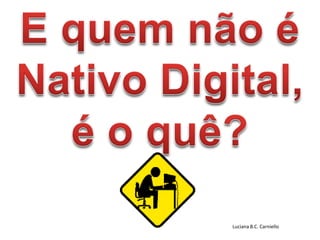 Luciana B.C. Carniello
 