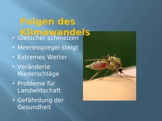 Folgen des
  Klimawandels
• Gletscher schmelzen
• Meeresspiegel steigt
• Extremes Wetter
• Veränderte
  Niederschläge
• Probleme für
  Landwirtschaft
• Gefährdung der
  Gesundheit
 