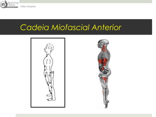 Fábio Mazzola




Cadeia Miofascial Anterior
 