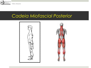 Fábio Mazzola




Cadeia Miofascial Posterior
 