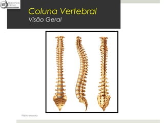 Fábio Mazzola

     Coluna Vertebral
     Visão Geral




Fábio Mazzola
 