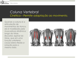Fábio Mazzola




     Coluna Vertebral
     Cinética – Permite adaptação ao movimento.

Quando a coluna é a
articulação de
movimentos do tronco,
ela é mobilizada pela
musculatura dinâmica:
longo do tórax,
iliocostal, espinal do
tórax, que em uma
função unilateral
causa latero-flexão e    Longo do Iliocostal do Iliocostal Espinal do
rotação para o             Tórax       Tórax     Lombar       Tórax
mesmo lado.
 