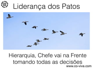 Liderança dos Patos
Hierarquia, Chefe vai na Frente
tomando todas as decisões
www.co-viva.com
 