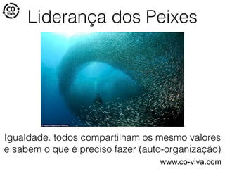 Liderança dos Peixes
Igualdade. todos compartilham os mesmo valores
e sabem o que é preciso fazer (auto-organização)
www.co-viva.com
 