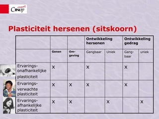 Plasticiteit hersenen (sitskoorn)