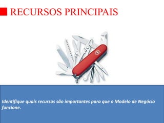RECURSOS PRINCIPAIS 
Identifique quais recursos são importantes para que o Modelo de Negócio 
funcione. 
 
