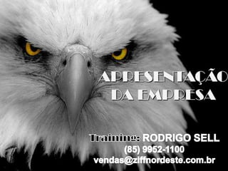 APRESENTAÇÃO
DA EMPRESA
 