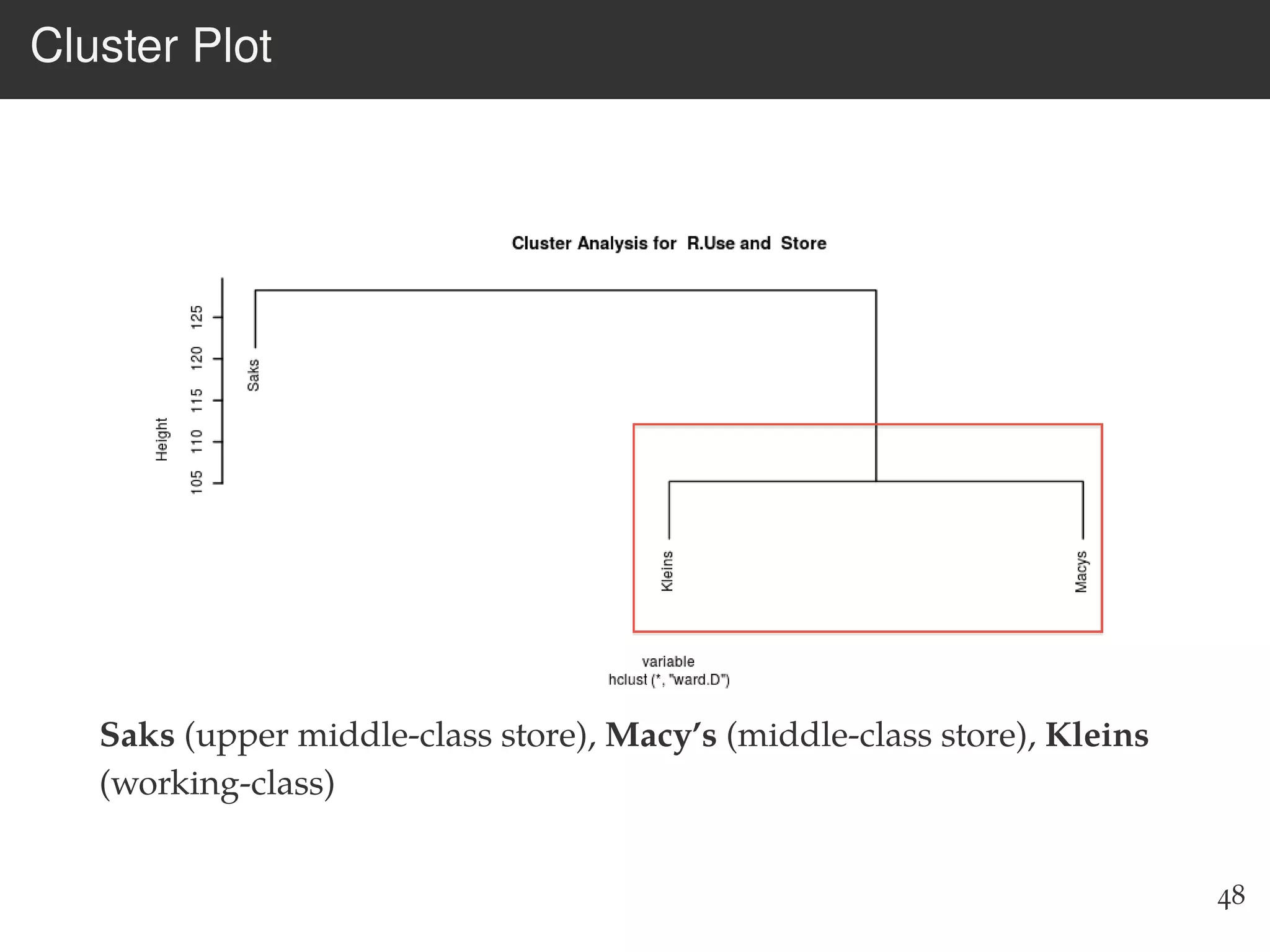 Cluster Plot
Saks (upper middle-class store), Macy’s (middle-class store), Kleins
(working-class)
48
 