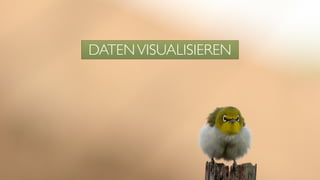 DATENVISUALISIEREN
 
