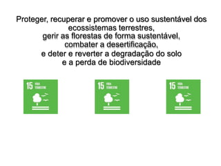 Proteger, recuperar e promover o uso sustentável dos
ecossistemas terrestres,
gerir as florestas de forma sustentável,
combater a desertificação,
e deter e reverter a degradação do solo
e a perda de biodiversidade
 