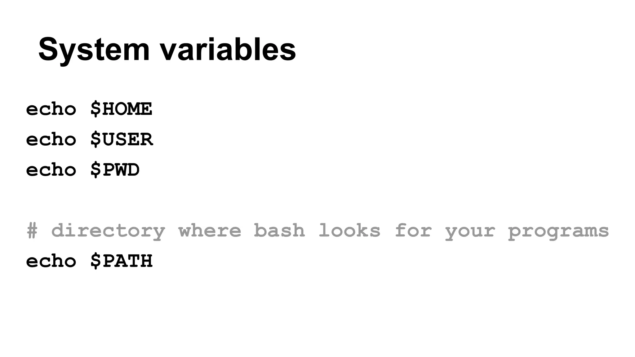 System variables
echo $HOME
echo $USER
echo $PWD
# directory where bash looks for your programs
echo $PATH
 