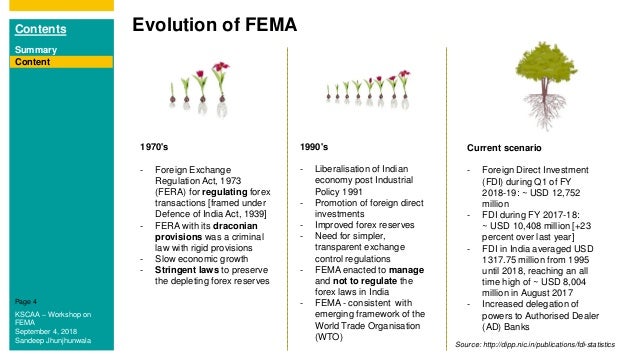 Fema Fdi - 