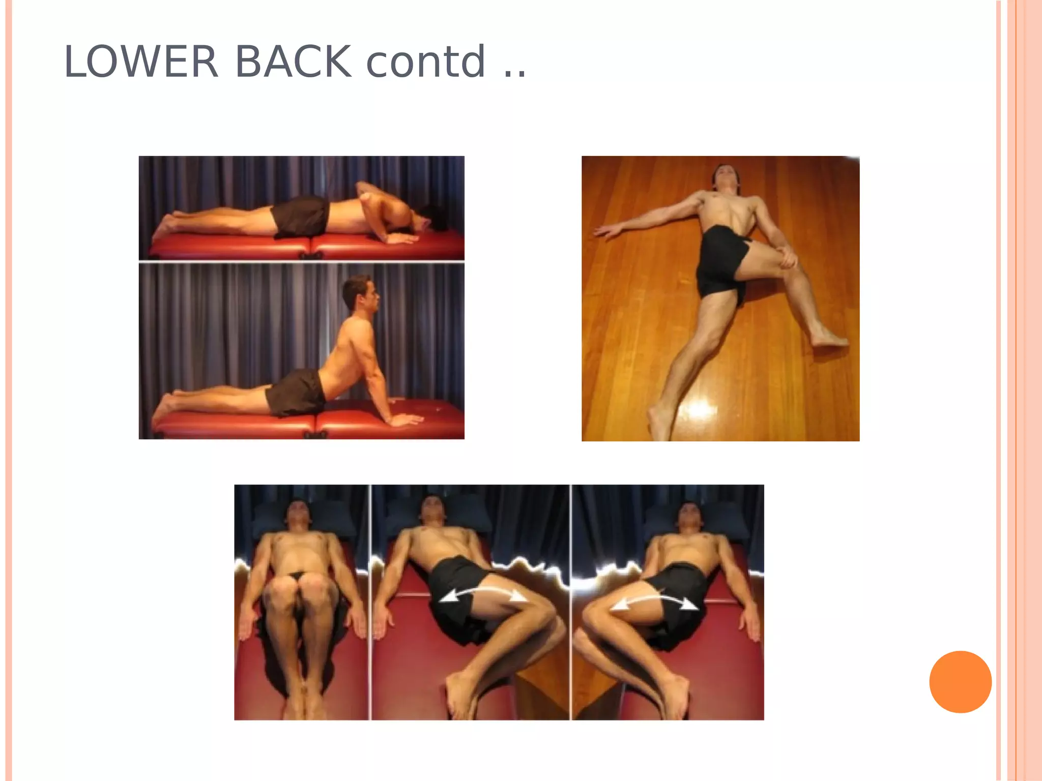 LOWER BACK contd ..
 