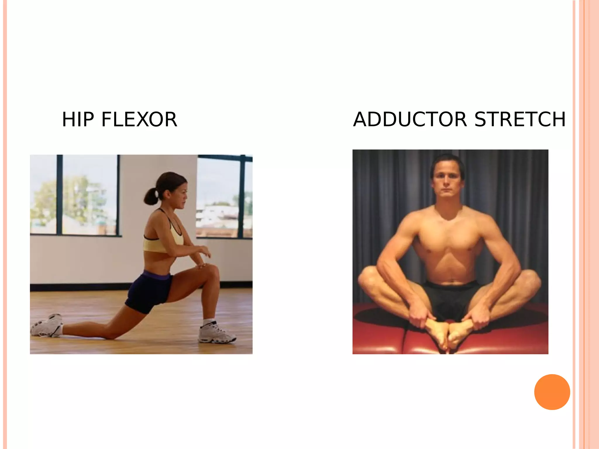 HIP FLEXOR   ADDUCTOR STRETCH
 