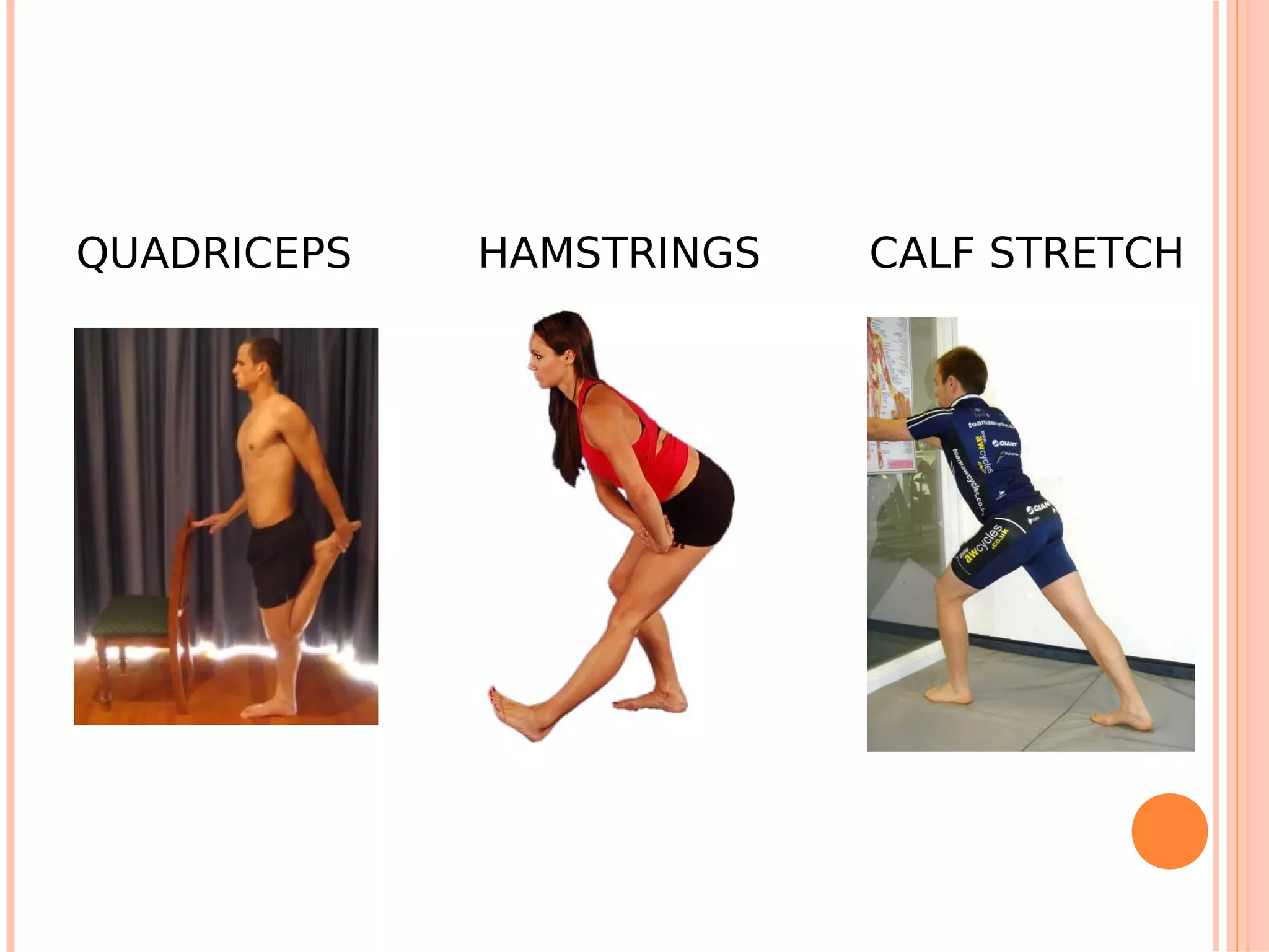 QUADRICEPS   HAMSTRINGS   CALF STRETCH
 