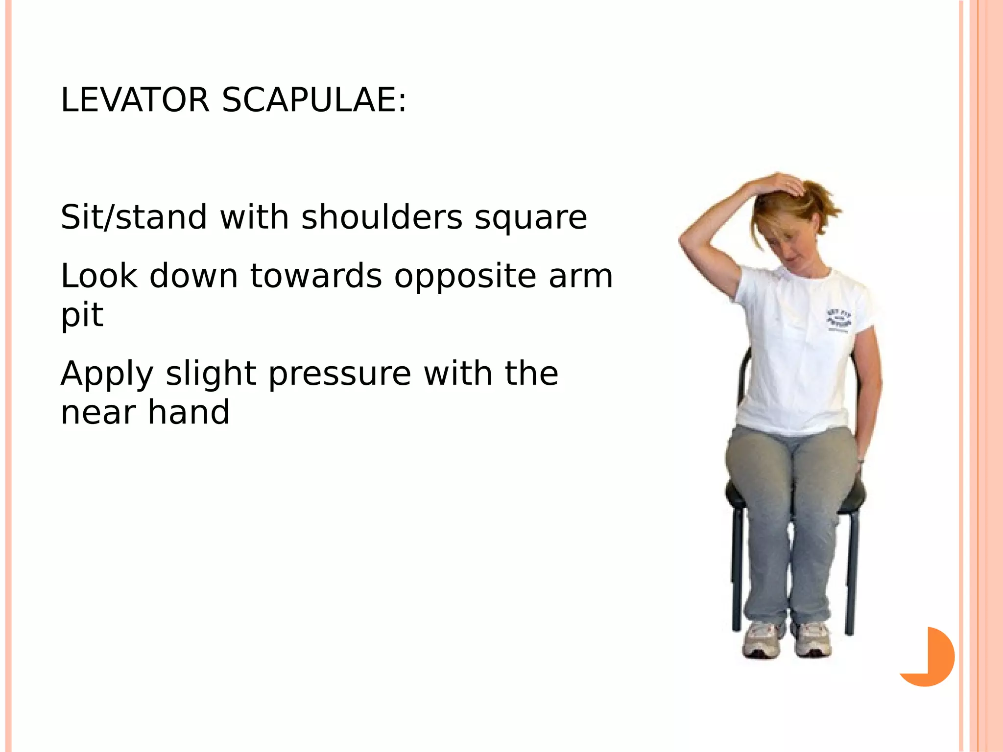 LEVATOR SCAPULAE:


Sit/stand with shoulders square
Look down towards opposite arm
pit
Apply slight pressure with the
near hand
 