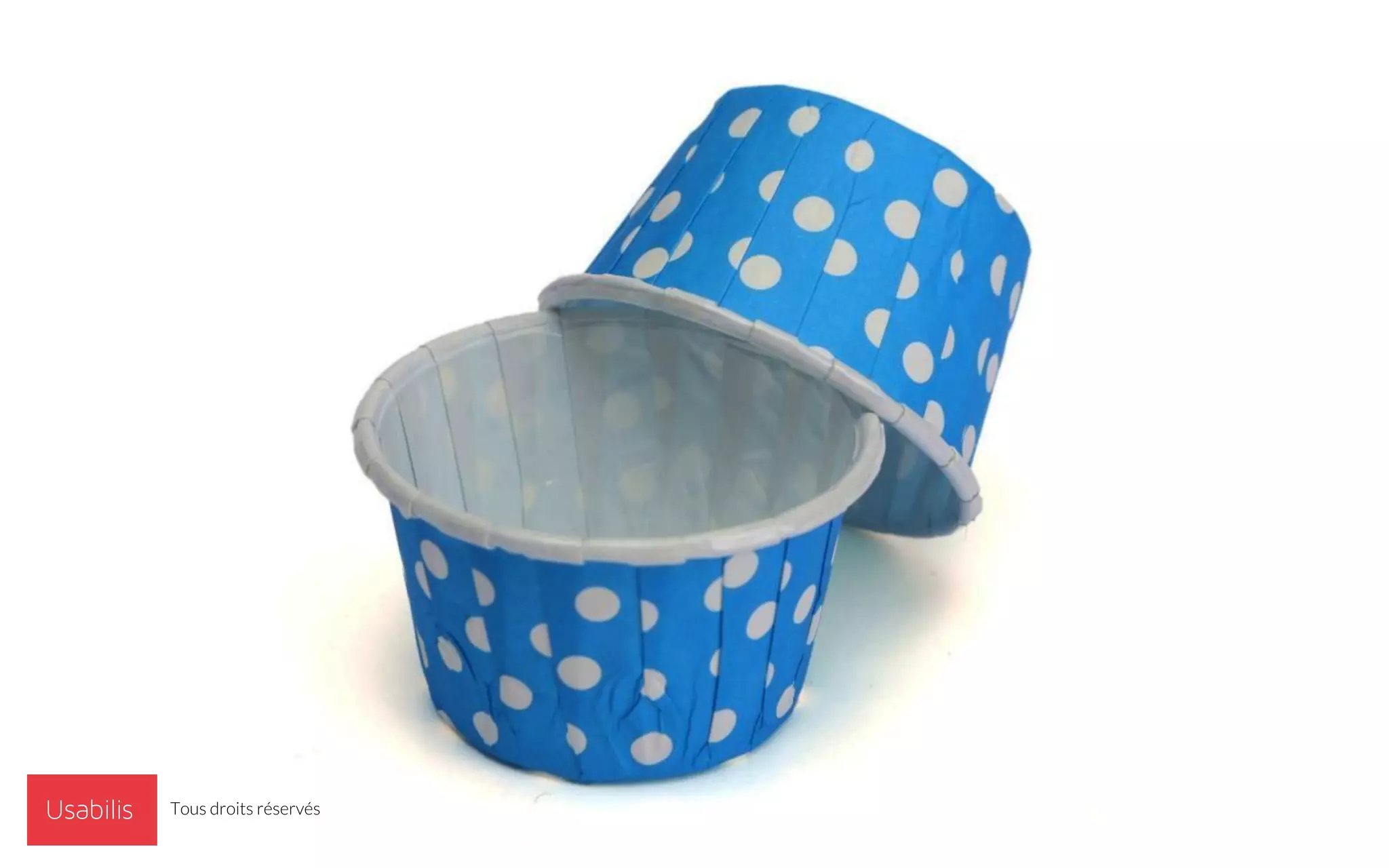 Tous droits réservés
 