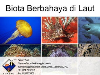Biota Berbahaya di Laut




   Safran Yusri
   YayasanTerumbuKarangIndonesia
   Komplek Ligamas Indah Blok E.2/No.11 Jakarta 12760
   Tlp . 021.7994912
   Fax. 0217973301
 