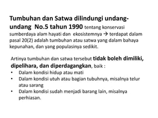 Tumbuhan dan Satwa dilindungi undang-
undang No.5 tahun 1990 tentang konservasi
sumberdaya alam hayati dan ekosistemnya  terdapat dalam
pasal 20(2) adalah tumbuhan atau satwa yang dalam bahaya
kepunahan, dan yang populasinya sedikit.

Artinya tumbuhan dan satwa tersebut tidak boleh dimiliki,
dipelihara, dan diperdagangkan, baik :
• Dalam kondisi hidup atau mati
• Dalam kondisi utuh atau bagian tubuhnya, misalnya telur
    atau sarang
• Dalam kondisi sudah menjadi barang lain, misalnya
    perhiasan.
 