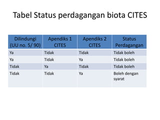 Tabel Status perdagangan biota CITES

  Dilindungi       Apendiks 1     Apendiks 2      Status
(UU no. 5/ 90)       CITES          CITES      Perdagangan
Ya               Tidak          Tidak          Tidak boleh
Ya               Tidak          Ya             Tidak boleh
Tidak            Ya             Tidak          Tidak boleh
Tidak            Tidak          Ya             Boleh dengan
                                               syarat
 