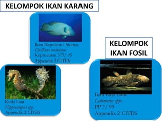 KELOMPOK IKAN KARANG



                       KELOMPOK
                       IKAN FOSIL
 