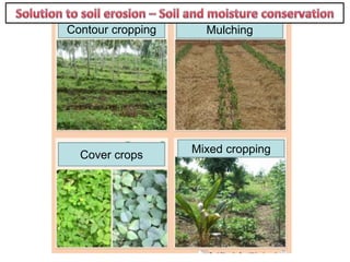 Contour cropping Mulching
Cover crops
Mixed cropping
 