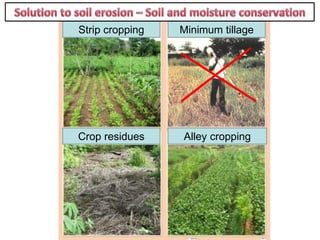 Strip cropping Minimum tillage
Crop residues Alley cropping
 