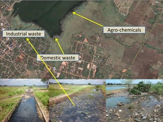 Industrial waste
Domestic waste
Agro-chemicals
 