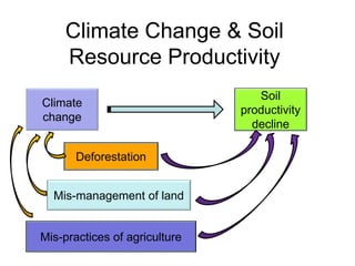 Climate Change & Soil
Resource Productivity
Climate
change
Soil
productivity
decline
Deforestation
Mis-management of land
Mis-practices of agriculture
 