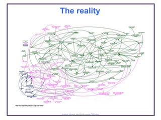 Overview of Maziwa Zaidi theory of change approach 