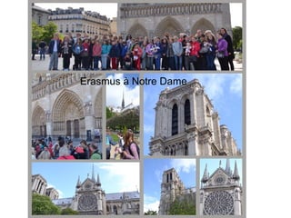 Erasmus à Notre Dame
 