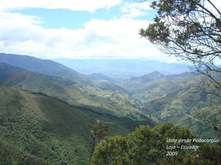 Valle desde Podocarpus
Loja – Ecuador
2009
 