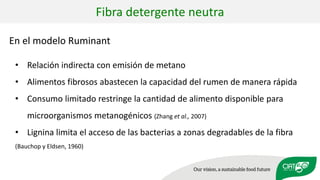Validation of RUMINANT model towards accurate estimations of enteric methane emissions under tropical conditions to support Colombian NDC