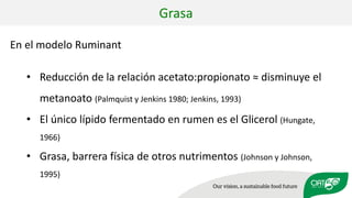 Validation of RUMINANT model towards accurate estimations of enteric methane emissions under tropical conditions to support Colombian NDC