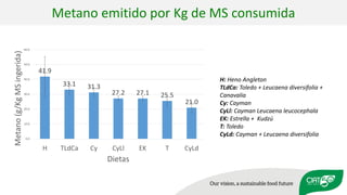Validation of RUMINANT model towards accurate estimations of enteric methane emissions under tropical conditions to support Colombian NDC