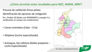 Validation of RUMINANT model towards accurate estimations of enteric methane emissions under tropical conditions to support Colombian NDC
