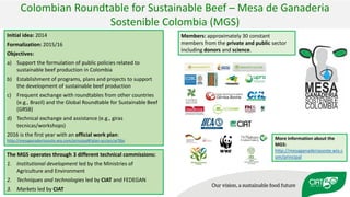 Validation of RUMINANT model towards accurate estimations of enteric methane emissions under tropical conditions to support Colombian NDC