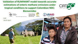 Validation of RUMINANT model towards accurate estimations of enteric methane emissions under tropical conditions to support Colombian NDC